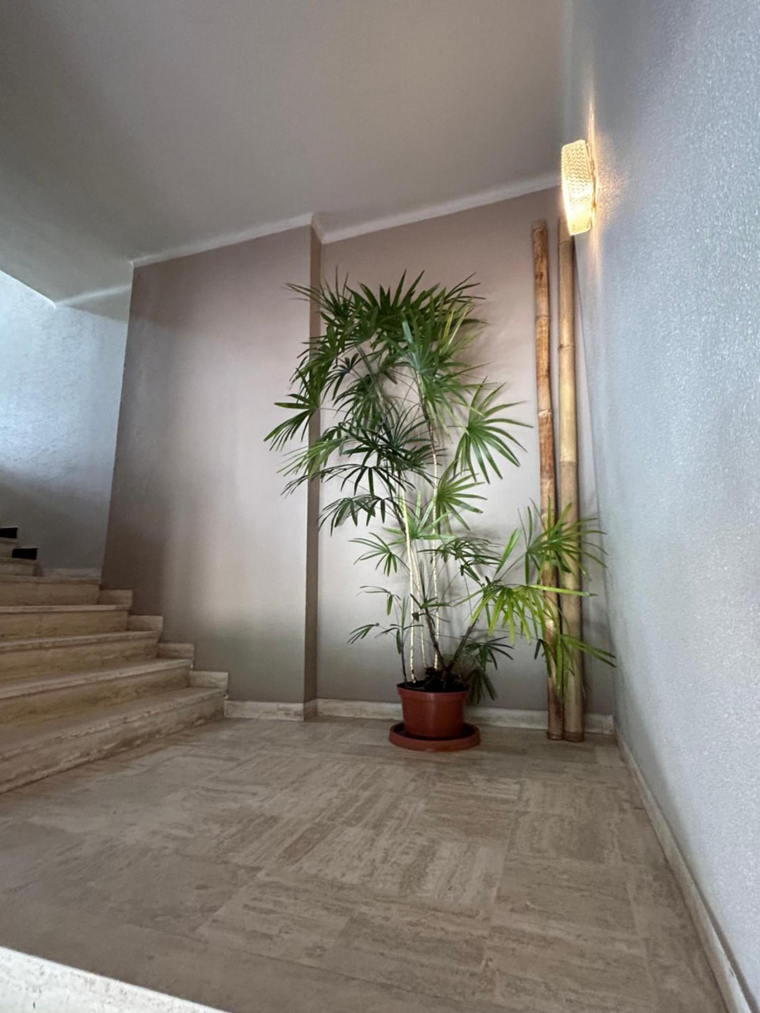 Premium Sea Front Apartment Le Lavandou Extérieur photo